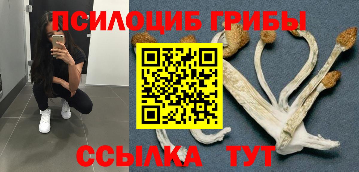 Псилоцибиновые грибы мицелий Пыть-Ях